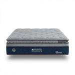 Musterring Hesse Series Mattress (PlushTop + EuroTop)